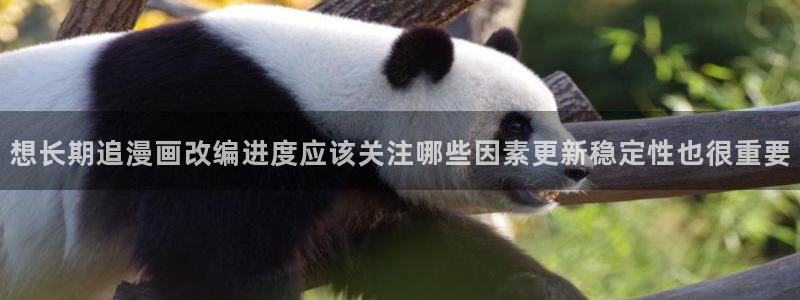 漫漫漫画网站入口