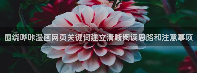 漫漫漫画漫画资源